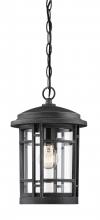 Designers Fountain 22434-WP - Barrister 1 Light Outdoor Hanging Lantern