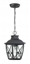 Designers Fountain 34834-BK - Belmont 1 Light Outdoor Hanging Lantern